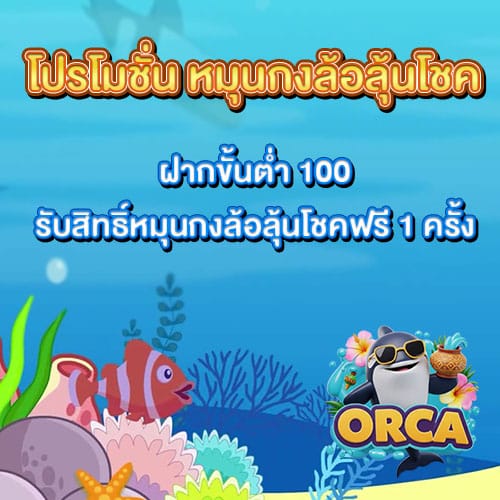 โปรหมุนกงล้อ